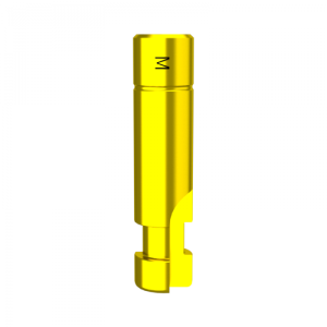 Mini DMR Kopyası